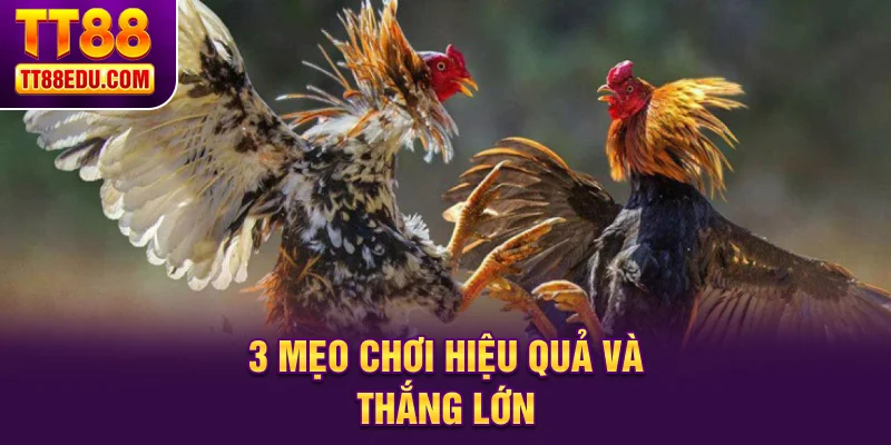 3 mẹo chơi hiệu quả v&agrave; thắng lớn