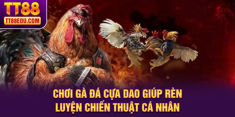 Chơi g&agrave; đ&aacute; cựa dao gi&uacute;p r&egrave;n luyện chiến thuật c&aacute; nh&acirc;n