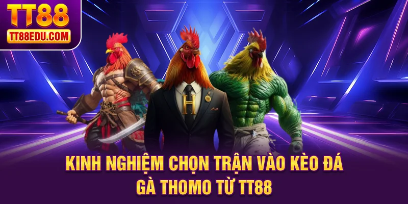 Kinh nghiệm chọn trận v&agrave;o k&egrave;o đ&aacute; g&agrave; Thomo từ TT88