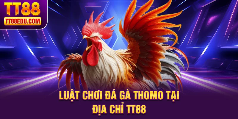 Luật chơi đ&aacute; g&agrave; Thomo tại địa chỉ TT88