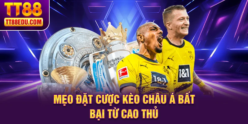 Mẹo đặt cược k&egrave;o Ch&acirc;u &Aacute; bất bại từ cao thủ
