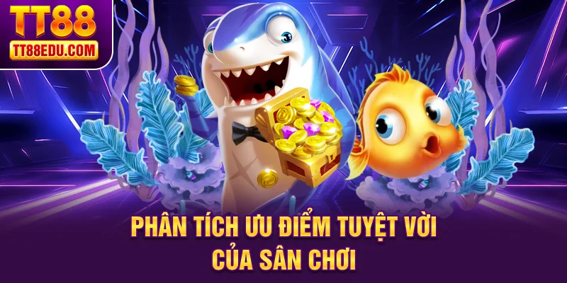 Phân tích ưu điểm tuyệt vời của sân chơi