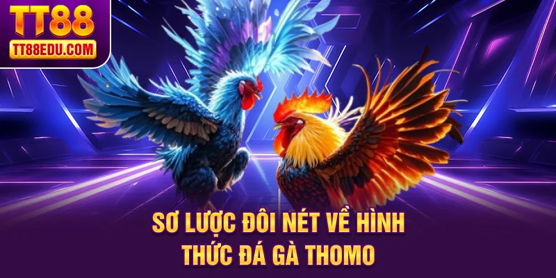Sơ lược đ&ocirc;i n&eacute;t về h&igrave;nh thức đ&aacute; g&agrave; Thomo