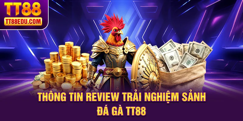 Thông tin review trải nghiệm sảnh đá gà TT88