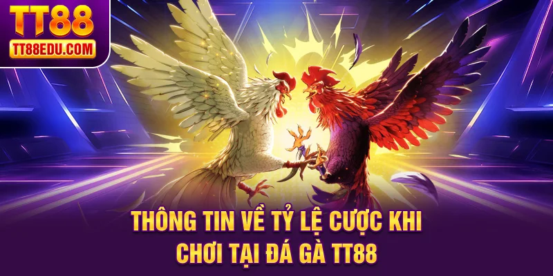 Thông tin về tỷ lệ cược khi chơi tại đá gà TT88