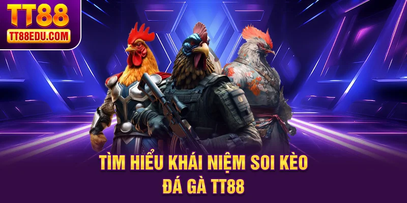T&igrave;m hiểu kh&aacute;i niệm soi k&egrave;o đ&aacute; g&agrave; TT88