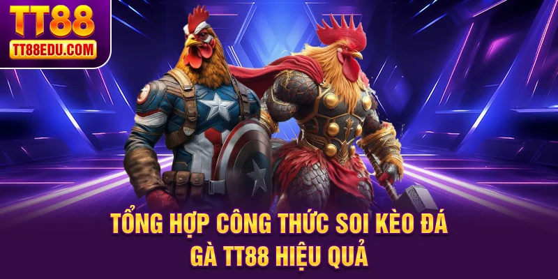Tổng hợp c&ocirc;ng thức soi k&egrave;o đ&aacute; g&agrave; TT88 hiệu quả