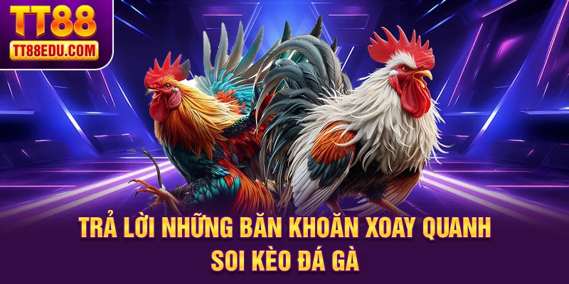 Trả lời những băn khoăn xoay quanh soi k&egrave;o đ&aacute; g&agrave;